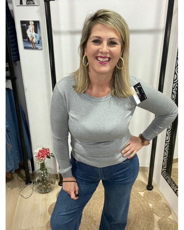 2750 Gris Jersey Brilloso