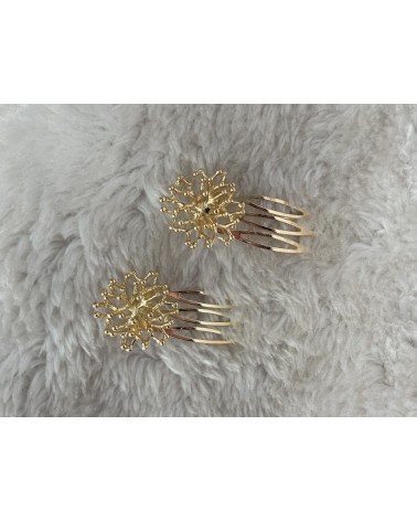 5281 Dorado Peina Pasiflora